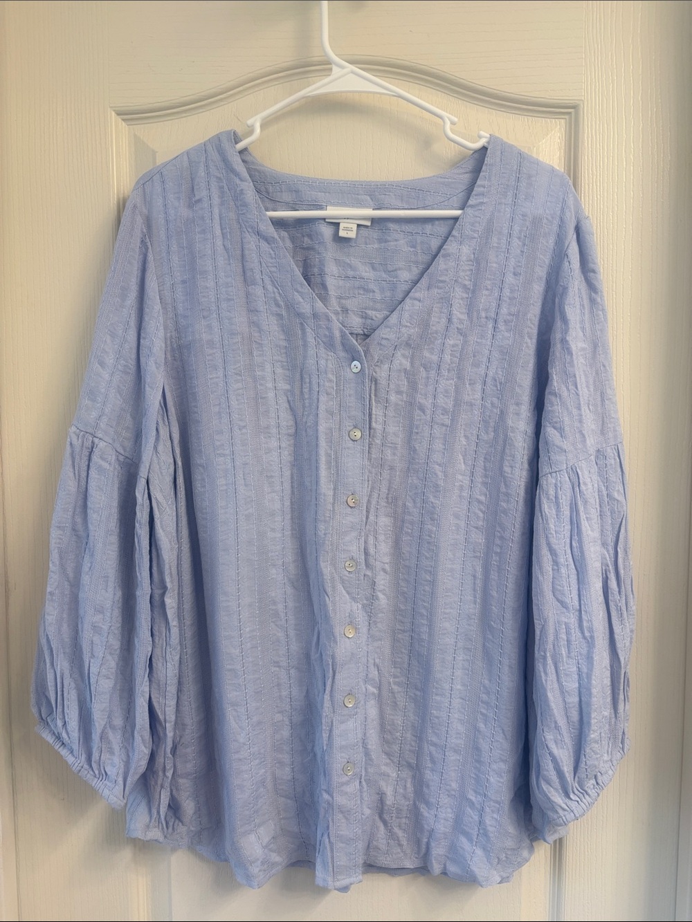J. Jill Light Blue Button-Front V-Neck Blouse NWOT
